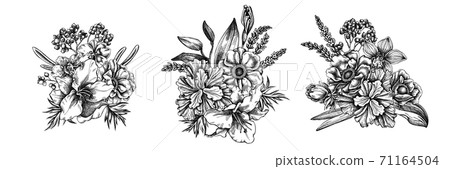 Flower bouquet of black and white anemone, lavender, rosemary everlasting, phalaenopsis, lily, iris 71164504
