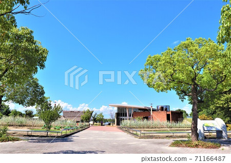 池上曾根遺址/池上曾根歷史公園 71166487