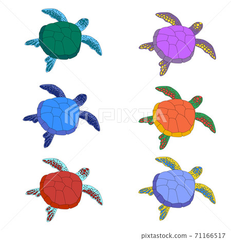 Cartoon turtle. Six. Set of cute multicolored turtles isolated on white background. Childrens motives of sea animals. Trendy colors. 71166517