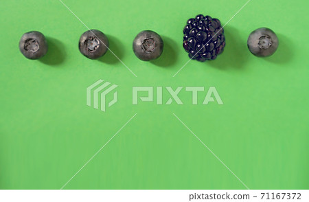 blackberries and blueberries on a green background blackberries and blueberries on a green background 71167372