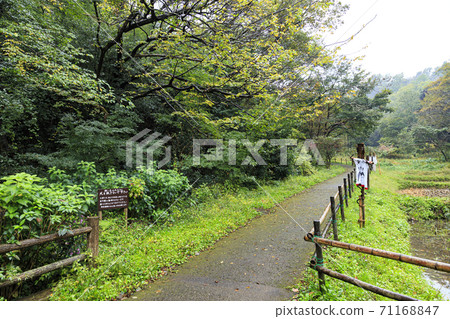 橫濱市戶塚區舞岡古鄉公園原始風光的秋天 橫濱市戶塚區舞岡古鄉公園原始風光的秋天 71168847