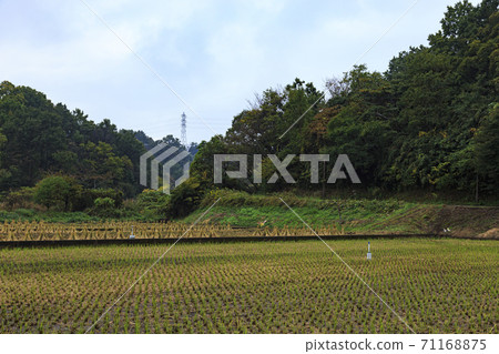 橫濱市戶塚區舞岡古鄉公園原始風光的秋天 71168875