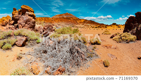 Teide volcano in Canary island.Tenerife national park 71169370