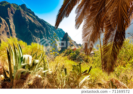 Masca valley.Canary island.Tenerife.Spain 71169572