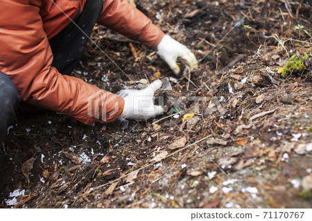 big amount of trash in forest, family father and son picking garbage away, global environment issues big amount of trash in forest, family father and son picking garbage away, global environment issues 71170767