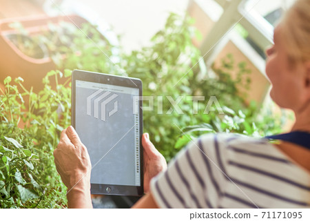 Woman holding tablet with active screen Woman holding tablet with active screen 71171095
