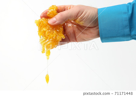 honeycomb dripping with fingers on white background honeycomb dripping with fingers on white background 71171448