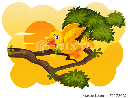 Bird in nature sunset scene Bird in nature sunset scene 71172082