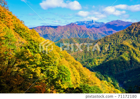 Mountains of autumn leaves and Mt. Hakkai Mountains of autumn leaves and Mt. Hakkai 71172180