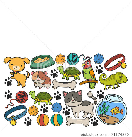 Veterinary clinic, zoo, pet shop. Cats, dogs, fish, parrot. Toys for animals, animal care. Veterinary clinic, zoo, pet shop. Cats, dogs, fish, parrot. Toys for animals, animal care. 71174880