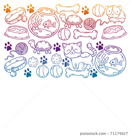 Veterinary clinic, zoo, pet shop. Cats, dogs, fish, parrot. Toys for animals, animal care. Veterinary clinic, zoo, pet shop. Cats, dogs, fish, parrot. Toys for animals, animal care. 71174927
