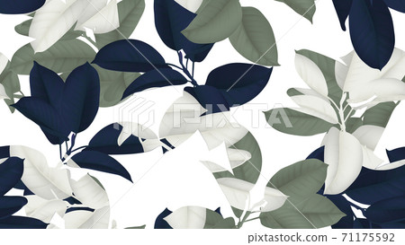 Floral seamless pattern, blue, green and white Ficus Elastica or rubber plant on white background 71175592