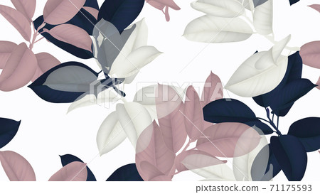 Floral seamless pattern, blue, pink and white Ficus Elastica or rubber plant on white background Floral seamless pattern, blue, pink and white Ficus Elastica or rubber plant on white background 71175593