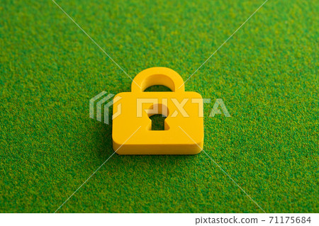 Icon model security 71175684