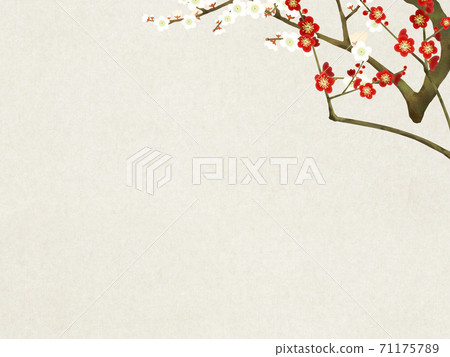 紅白李子和日本紙的簡單背景-有多種變體 紅白李子和日本紙的簡單背景-有多種變體 71175789