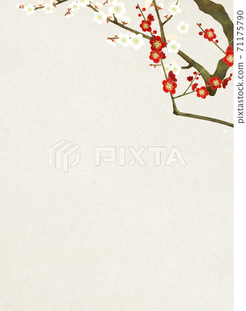 紅白李子和日本紙的簡單背景-有多種變體 紅白李子和日本紙的簡單背景-有多種變體 71175790