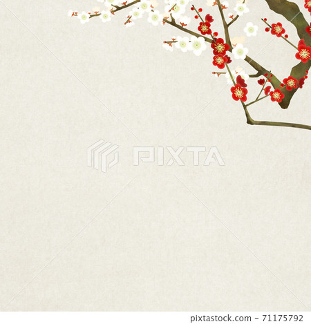 Simple background of red and white plum and Japanese paper-There are multiple variations Simple background of red and white plum and Japanese paper-There are multiple variations 71175792