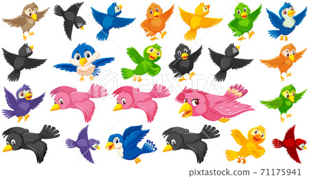 Set of bird cartoon character - Stock Illustration [71175941] - PIXTA