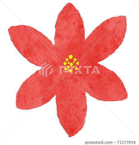 Illustration of watercolor poinsettia Illustration of watercolor poinsettia 71177058