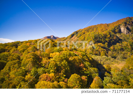Onagiyama, covered with magnificent and beautiful autumn leaves seen from the Amakazarikogen, Otari Village, Nagano Prefecture (aerial view by drone) 71177154