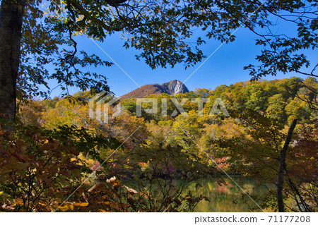 長野縣大谷村，被美麗而美麗的秋葉所包圍的鐮池山和大垣山 71177208