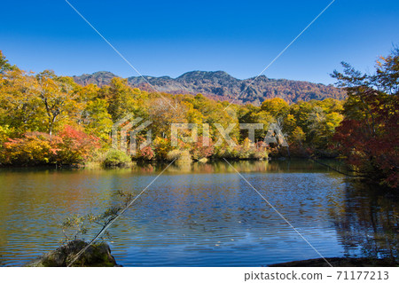 長野縣大谷村,被美麗而美麗的秋葉包圍的鐮池 長野縣大谷村,被美麗而美麗的秋葉包圍的鐮池 71177213