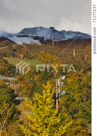 Beautiful three-tiered autumn leaves at Happoone Ski Resort, Hakuba Village, Nagano Prefecture Beautiful three-tiered autumn leaves at Happoone Ski Resort, Hakuba Village, Nagano Prefecture 71177237
