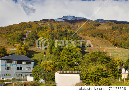 Beautiful three-tiered autumn leaves at Happoone Ski Resort, Hakuba Village, Nagano Prefecture Beautiful three-tiered autumn leaves at Happoone Ski Resort, Hakuba Village, Nagano Prefecture 71177238