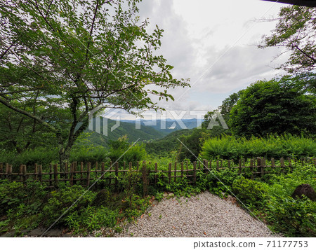 Hydrangea of Mt. Myoken lift 71177753