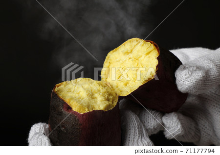 甘藷 甘藷 71177794