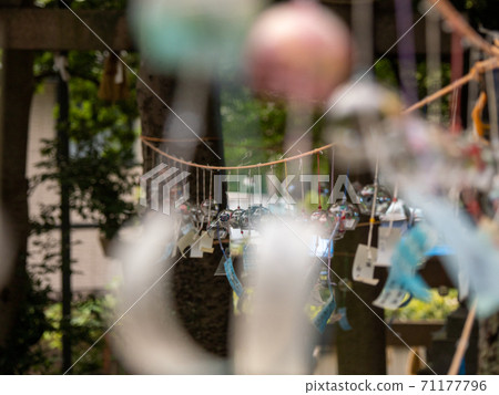Hachida Shrine Reinomiya Shrine Wind chimes Hachida Shrine Reinomiya Shrine Wind chimes 71177796