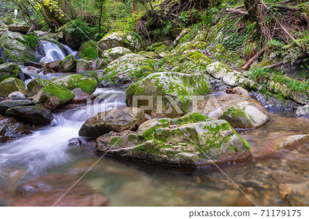 福岡縣福岡市的野口啟空秋天 71179175