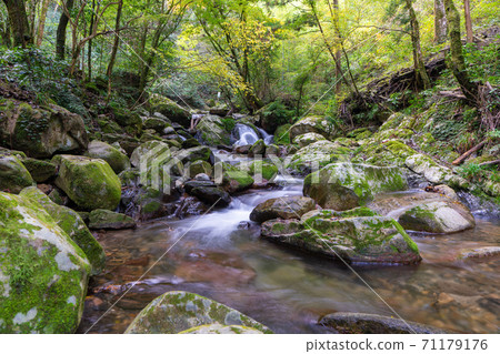 福岡縣福岡市的野口啟空秋天 71179176