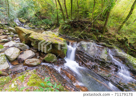 福岡縣福岡市的野口啟空秋天 71179178