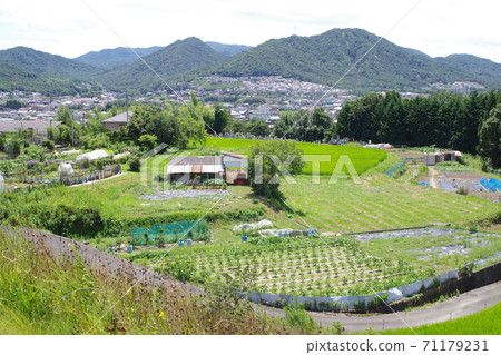 View of Kumano Town from Fudenosato Kobo View of Kumano Town from Fudenosato Kobo 71179231