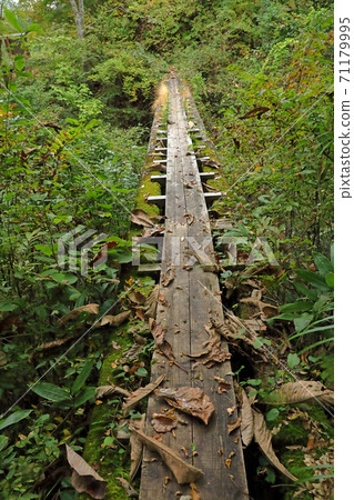 福島縣金山町T澤河沿河的木橋 福島縣金山町T澤河沿河的木橋 71179995