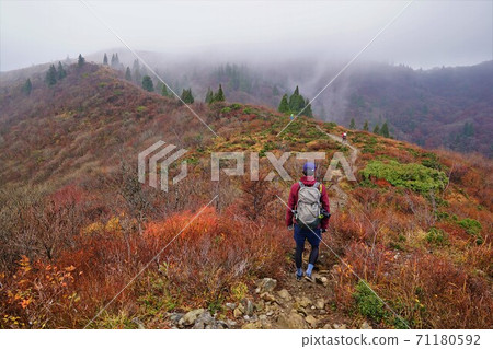 Climbers walking along the ridgeline of Mt. Bunagatake in the foggy autumn colors 71180592