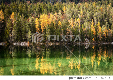 Lago di Tovel - Beautiful Lake in Italian Alps Trentino-Alto Adige Italy Lago di Tovel - Beautiful Lake in Italian Alps Trentino-Alto Adige Italy 71182603