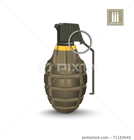 Detailed realistic image of hand grenade. Army explosive. 3d weapon icon. Military isolated object 71183648