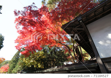 高野山在秋天 高野山在秋天 71184527