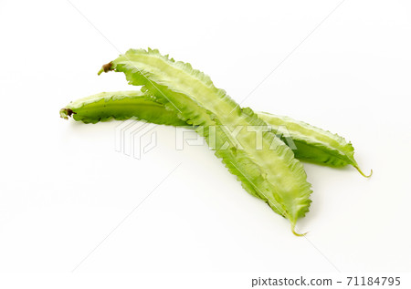 Shikakamame(Urips bean) Shikakamame(Urips bean) 71184795