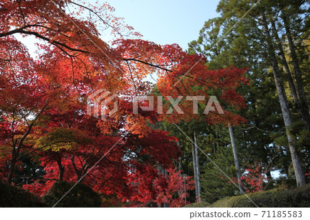 高野山在秋天 高野山在秋天 71185583
