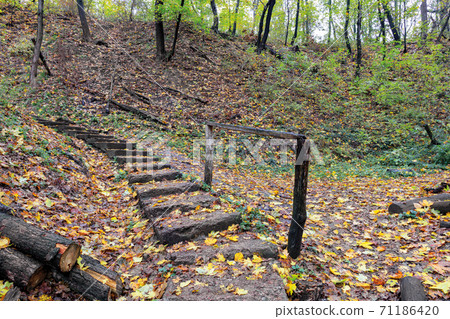 Stone old staircase in the autumn forest. Stone old staircase in the autumn forest. 71186420
