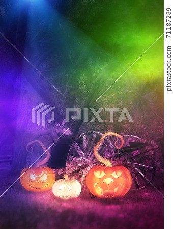 Halloween pumpkins in the garden 71187289