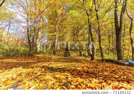 Scenery of Choro Shrine after the rain Autumn leaves Shichikashuku Town, Miyagi Prefecture Scenery of Choro Shrine after the rain Autumn leaves Shichikashuku Town, Miyagi Prefecture 71188132