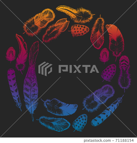 Set of ethnic feathers. Decoration design. Birds feathers, boho chic style. Tribal ornament pattern. Set of ethnic feathers. Decoration design. Birds feathers, boho chic style. Tribal ornament pattern. 71188154