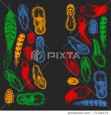 Set of ethnic feathers. Decoration design. Birds feathers, boho chic style. Tribal ornament pattern. 71188175