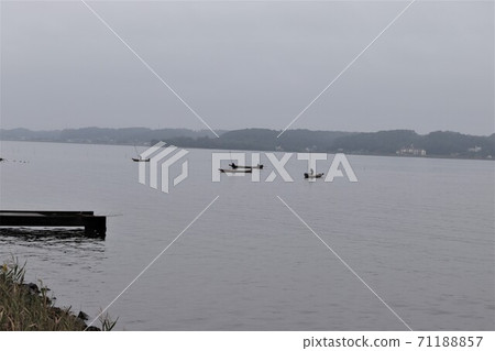 茨城縣湯沼市的Shijimi捕魚（清晨） 71188857