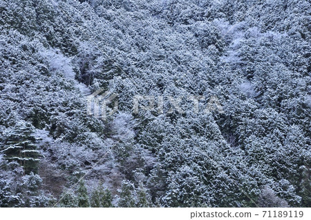 冬季淡澤山 71189119