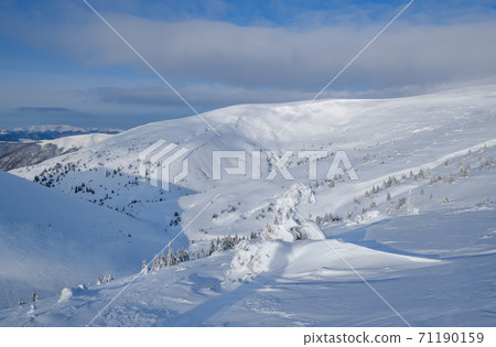 Snow covered fir trees on snowy mountain plateau, tops with snow cornices in far. Magnificent sunny day on picturesque beautiful alps ridge. Snow covered fir trees on snowy mountain plateau, tops with snow cornices in far. Magnificent sunny day on picturesque beautiful alps ridge. 71190159